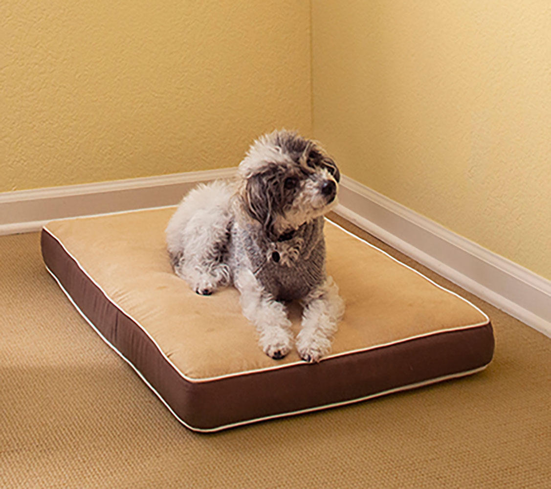 cama para perros grandes