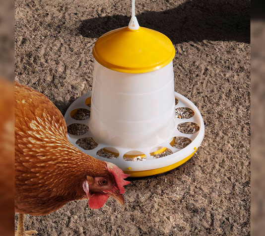 Tolva para gallinas plástico bio