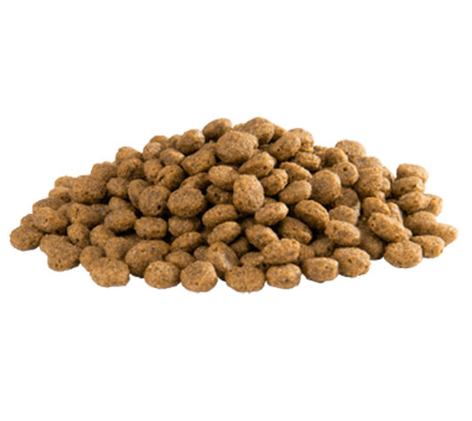 croquetas flotantes para patos