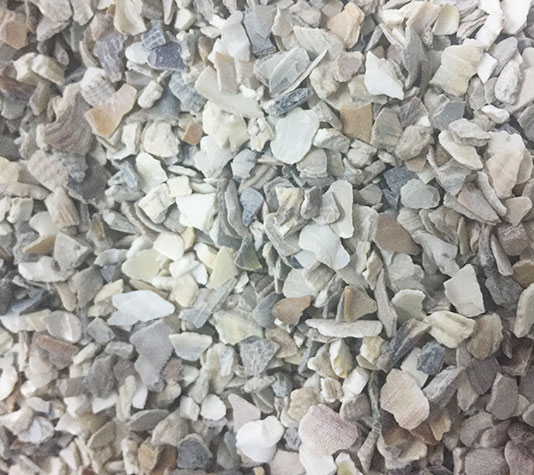 Conchilla de ostras para gallinas