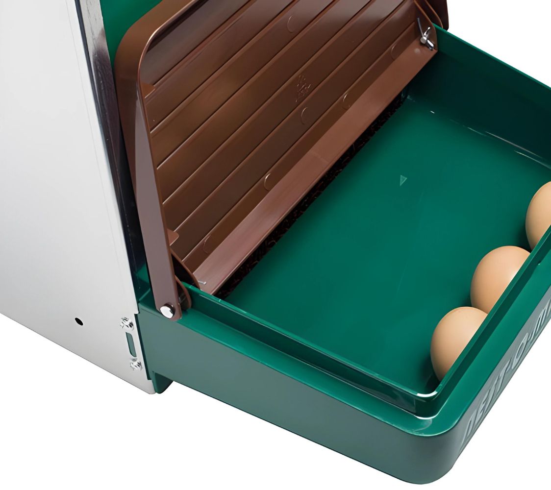 evitar que se coman los huevos	