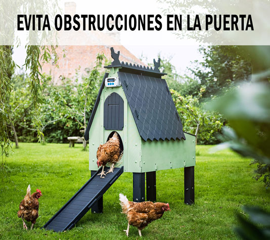 Puerta de gallinero automática evita la obstrucción