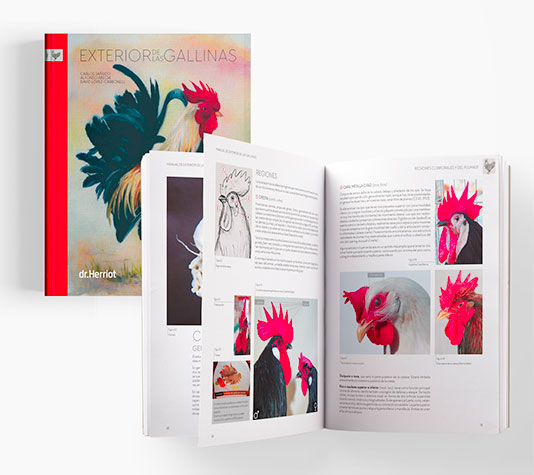 libro exterior gallinas