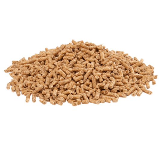 alimento especial para el mantenimiento de patos