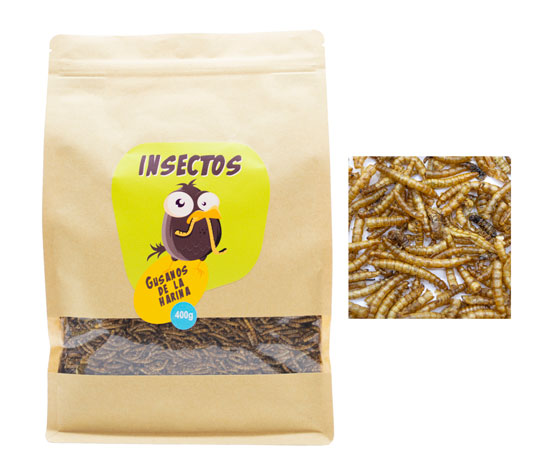 insectos secos para alimentación animal