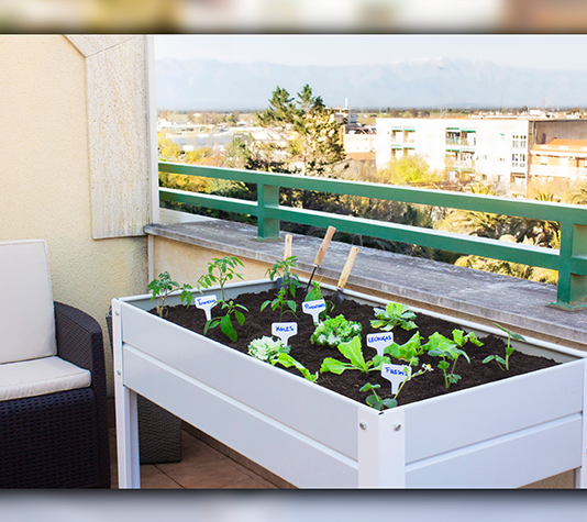 Mesa de cultivo para crear huerto urbano en tu terraza