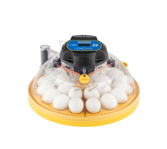 Incubadora Maxi 24 Ex