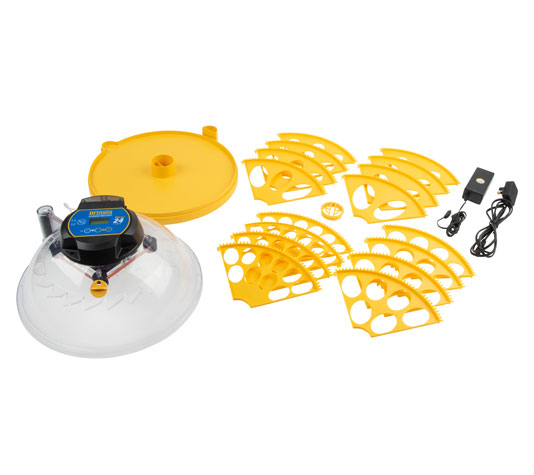 Incubadora Maxi 24 Ex