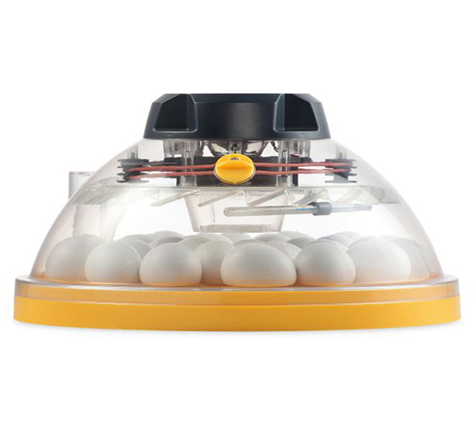 nacedora de pollos brinsea maxi ii eco