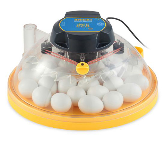 incubadora barata de gran capacidad