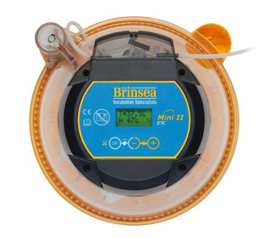 incubadora de huevos digital con volteo y humedad automática para loros