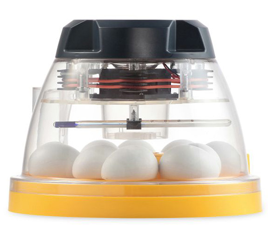 incubadora para 10 huevos de gallina