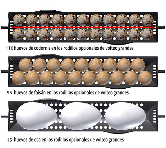 rodillos grandes para colocar huevos de codorniz o ganso en las incubadoras ovation