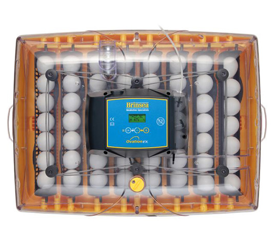 incubadora automática de volteo y humedad