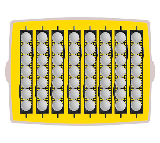 incubadora ovation 56 eco con capacidad para 96 huevos de codorniz