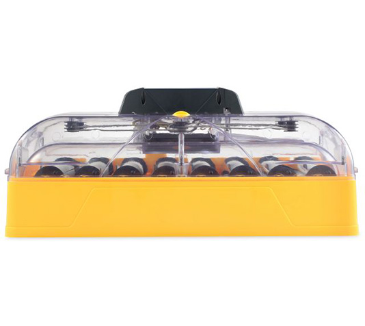 incubadora digital con volteo automático y capacidad para 96 huevos de faisán