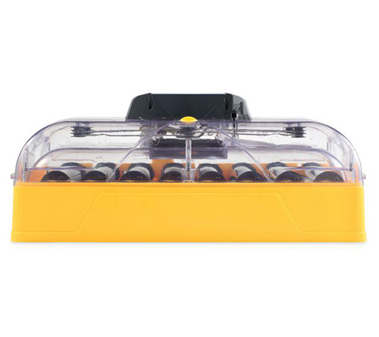 incubadora de pollos barata