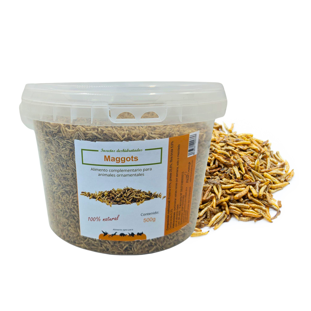 Maggots bote de 500g	