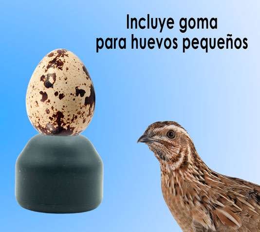 ovoscopio para huevos pequeños de codorniz