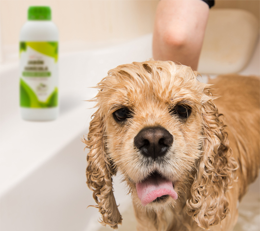 jabón potásico jabón agrícola