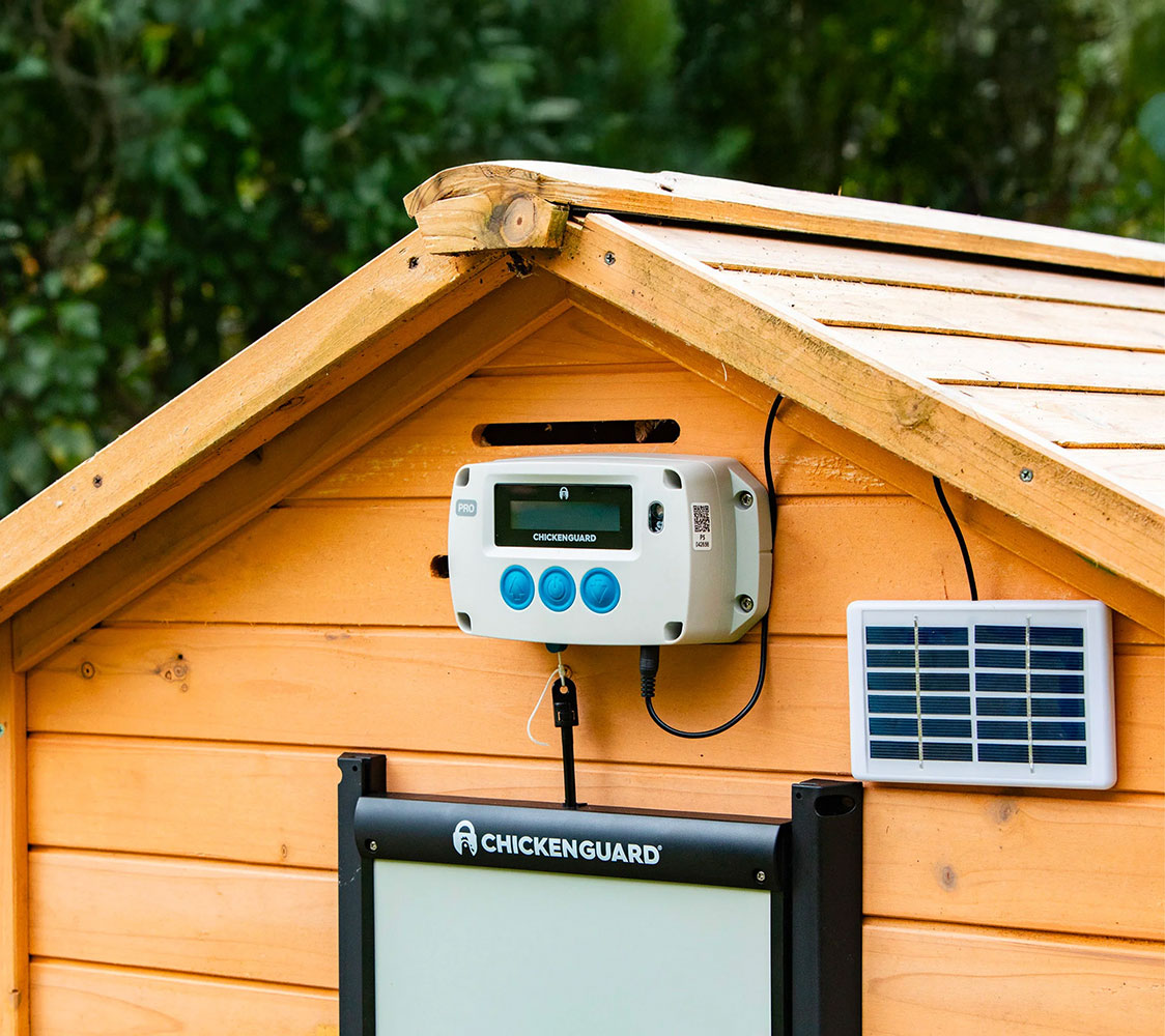 puerta automática para gallineros con placa solar