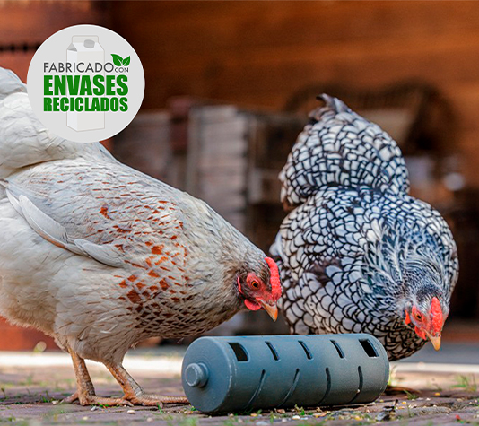 Dispensador de alimentos para gallinas