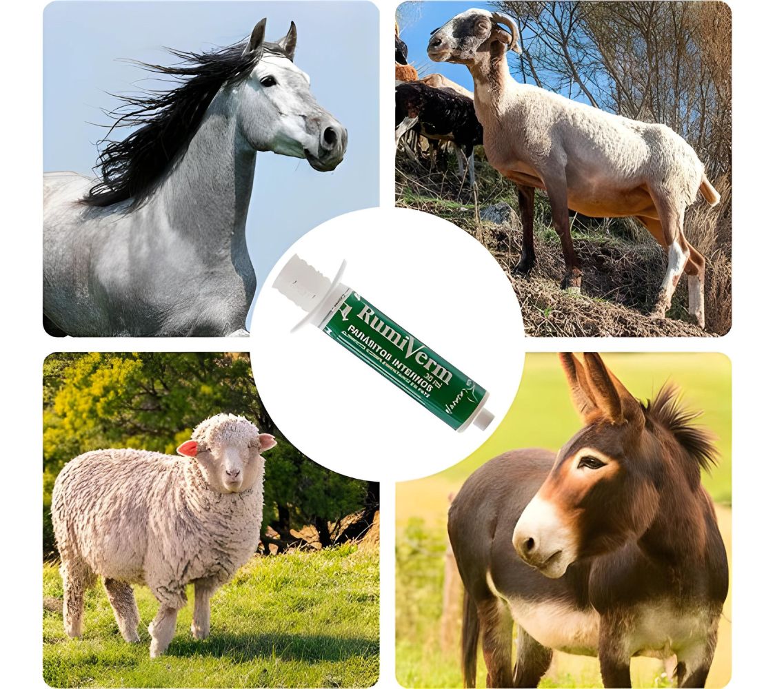 Desparasitante para cabras, caballos, ovejas y burros	