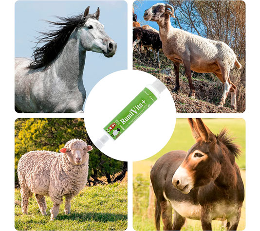 Complejo vitamínico para rumiantes