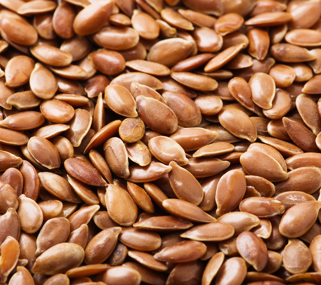 semillas de lino para gallinas