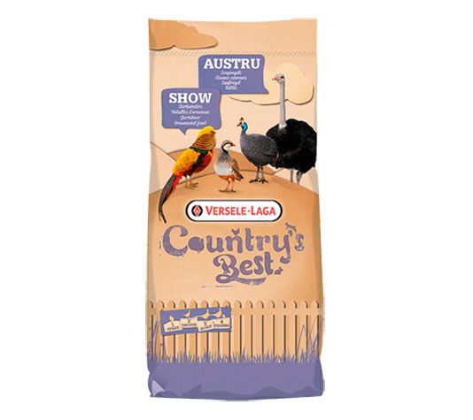 pienso de gallinas para época de reproducción