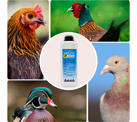 producto para limpiar gallineros