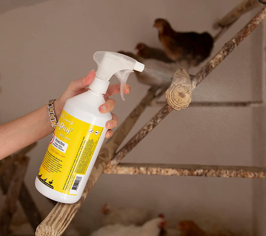 Spray contra el piojo de las gallinas