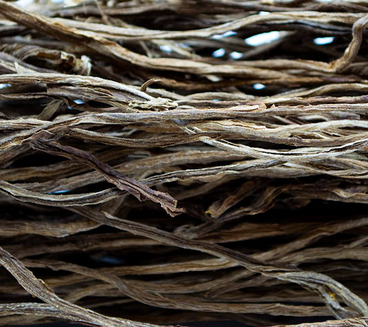 fibra vegetal tabaco