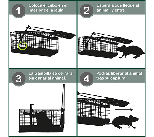 jaula trampa respetuosa con el animal
