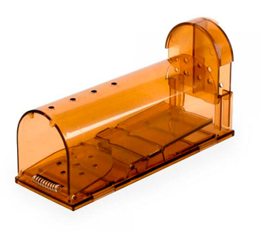 Atrapar ratones en el gallinero