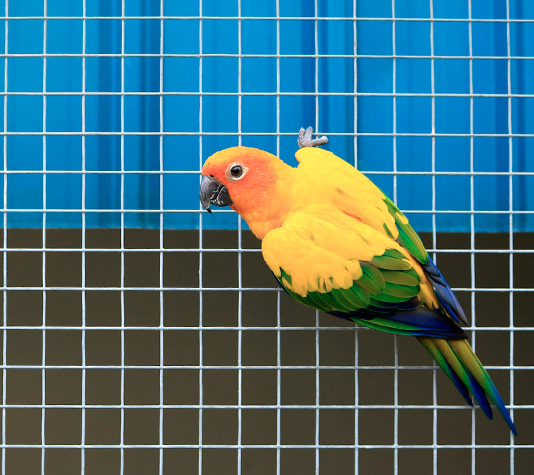 malla electrosoldada para cerramiento