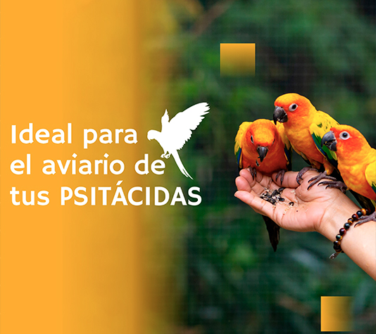 malla electrosoldada para cerramiento