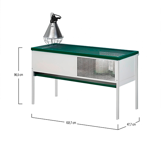 criadora de pollitos