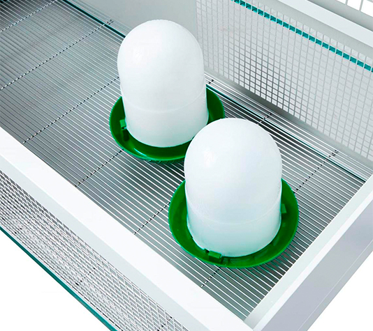 Criadora para pollos recién nacidos