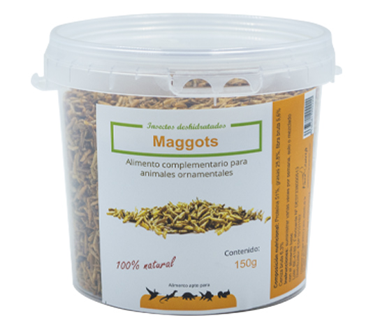 Maggots para alimentación de reptiles