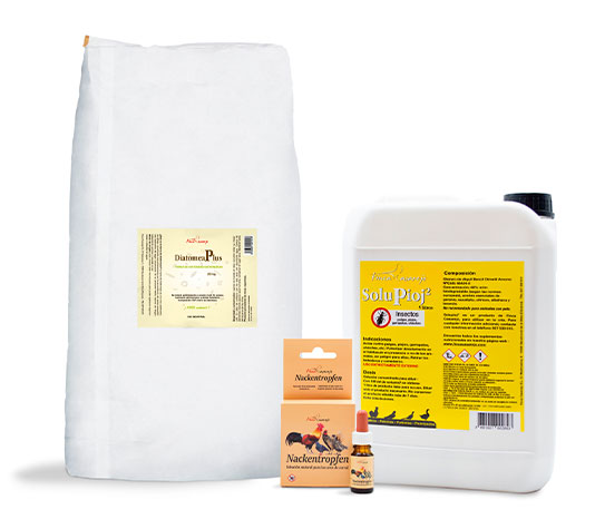 piojo de las gallinas