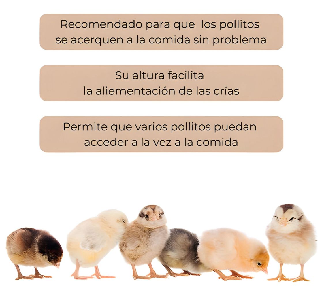 comedero pollitos primera edad	