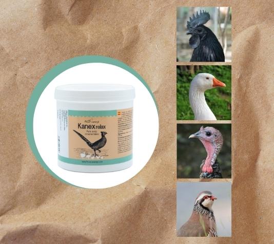 Rico en lisina y metionina