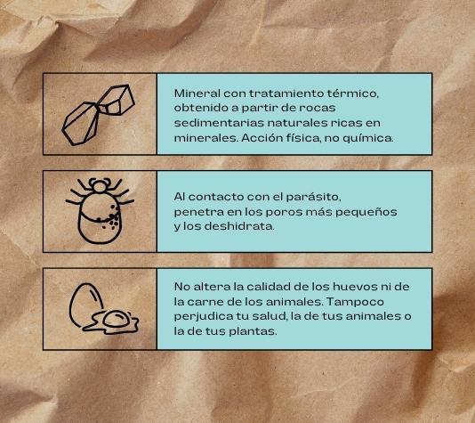 Desparasita a tus aves de corral