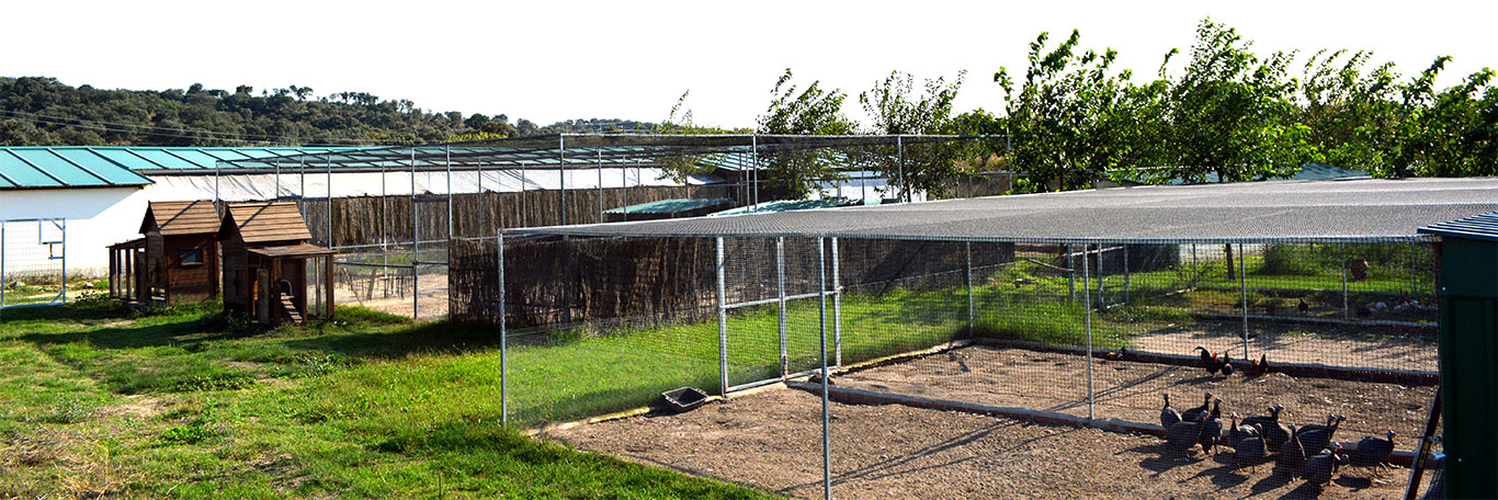 Instalaciones de Finca Casarejo